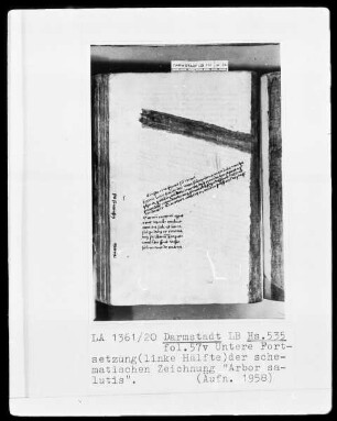 Sammelband aus Gladbach — Arbor crucis, Folio 57verso-58recto