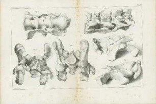 Tafel IX