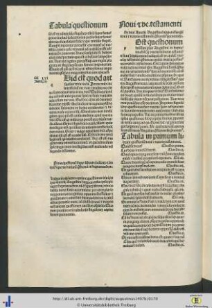 Questiones novi et veteris testamenti