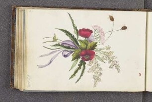 Elisabeth Dorothea Moller. – Hamburg, 29.11.1786