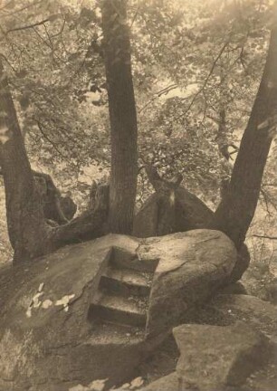 Spreetal. Oehnaer Skala. Gletscherüberschliffene Granitklippe mit eingeschlagenen Stufen vor drei alten Winterlinden