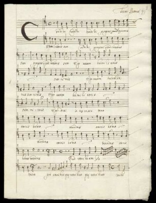 Tenor Primus