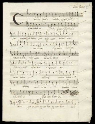 Tenor Primus