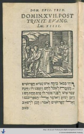 Domin. XVII. Post Trinit. Evang. Luc. XIIII.