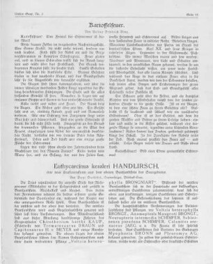 Kartoffelfeuer.