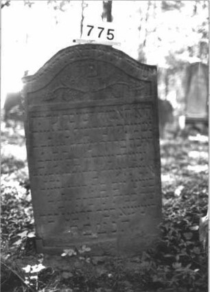 Grabstein 775 (Index: 99900345) Material: Sandstein Zustand: leicht angewittert bis gut erhalten Maße HxBxT: 112x66x9 cm Beschreibung: Stele mit Konvexbogenabschluss, im Bogenfeld Weinreben mit Trauben Symbolik: Weintrauben: Grabstein 775