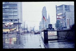 Am Zoo 27.6.58.