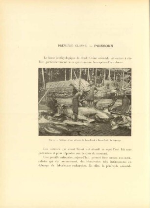 Première classe. - Poissons