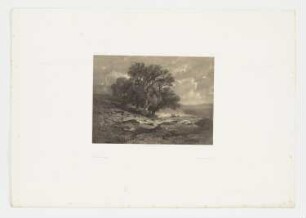 Ansicht von Thunersee, Blatt 66 der Folge "Werke"
