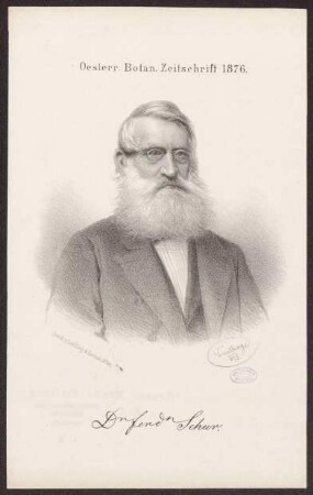 Schur, Ferdinand