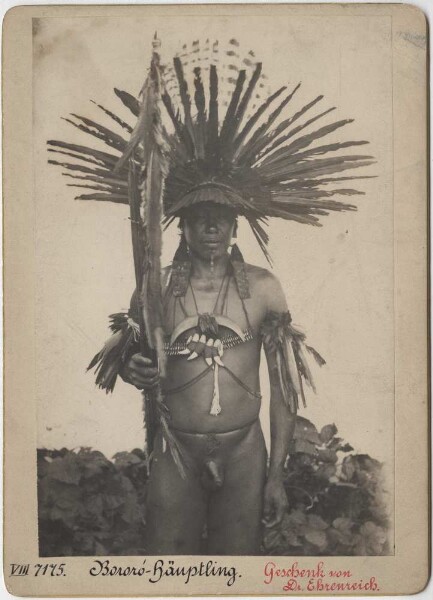 Bororo Chief