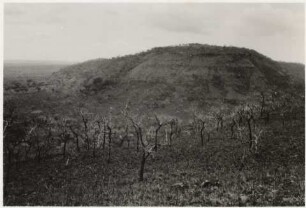 Stufenlandschaft ca. 17,2 km östlich von Nioaque : Höhe: 430 m