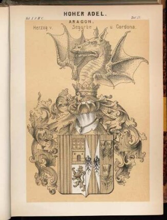 Taf. 17. Aragon, Herzog v. Segorbe u. Cardona.