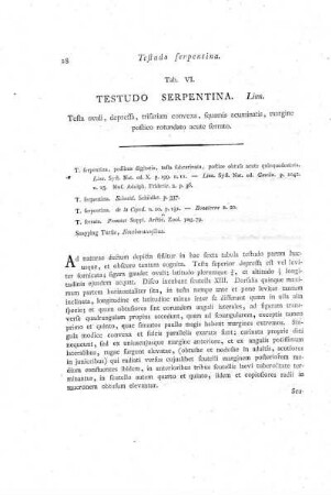 Tab. VI. Testudo Serpentina.
