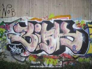 BiSK