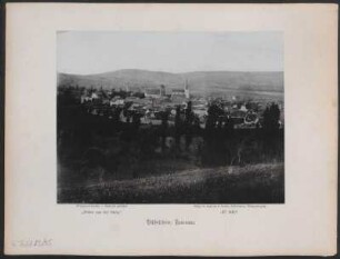 Bischofsheim: Panorama.