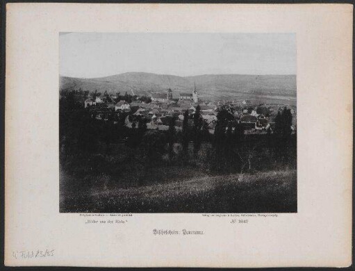 Bischofsheim: Panorama.