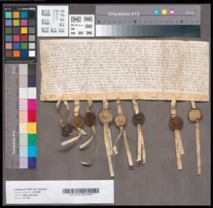Raseir v. d. Dornenborgh, genannt Guaedart, schwört dem Grafen von Berg Urfehde.