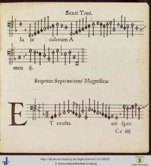Septimi Toni.