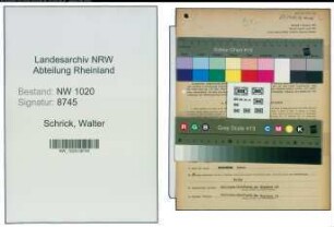 Entnazifizierung Walter Schrick , geb. 01.04.1901 (Fabrikant)