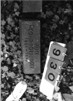 Grabstein 930 [Hahn S.53 Grab-Nr. 732]