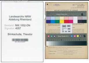 Entnazifizierung Theodor Brinkschulte, geb. 25.03.1895 (Angest.)