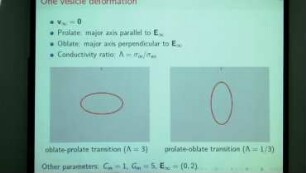 A Boundary Integral Equation Formulation for Vesicle Electrohydrodynamics