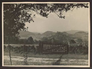 Blick vom Stemberg auf das Hermannsdenkmal. Detmold. Berlebeck