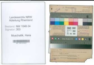 Entnazifizierung Hans Muschallik , geb. 04.06.1911 (Arzt)