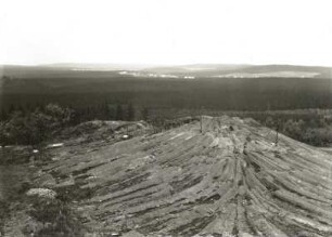 Westerzgebirge. Hirtstein bei Satzung. "Zopf" (Basaltsäulen) am Gipfel gegen Reitzenhain