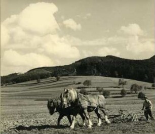 Beim Pflügen