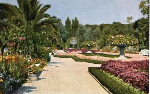 Palmengarten im Kurpark