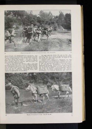 Tragtiere durchqueren den Isonzo.