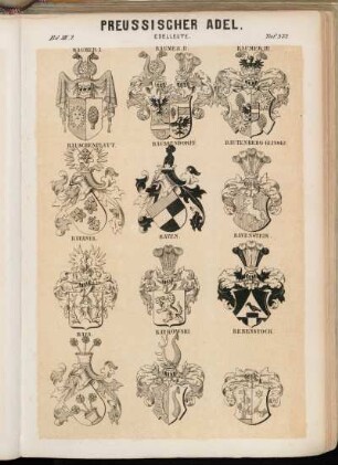 Taf. 372. Raumer I. - Raumer II. - Raumer III. - Rauschenplatt. - Raussendorff. - Rautenberg-Klinski. - Ravanel. - Raven. - Ravenstein. - Rava. - Raykowski. - Rebenstock