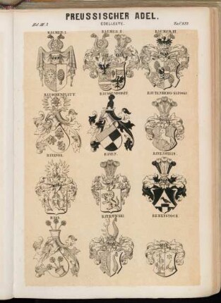 Taf. 372. Raumer I. - Raumer II. - Raumer III. - Rauschenplatt. - Raussendorff. - Rautenberg-Klinski. - Ravanel. - Raven. - Ravenstein. - Rava. - Raykowski. - Rebenstock