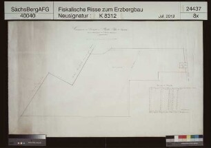 Grubenfeld von Riedels Fundgrube bei Langenberg (Raschau)