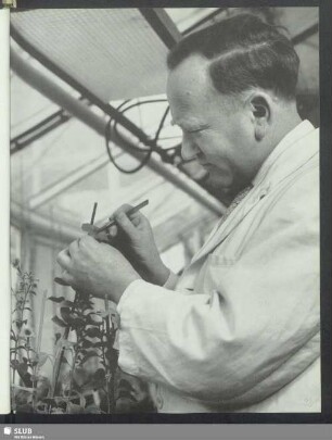 Josef Straub