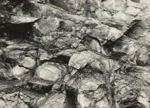 Pillow-Diabas (Oberdevon). Steinbruch Reinsdorf (Plauen-Reinsdorf)
