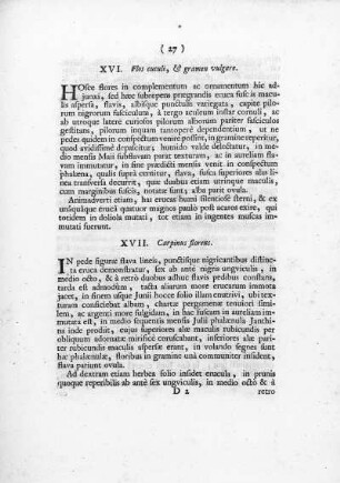 XVII. Carpinus florens