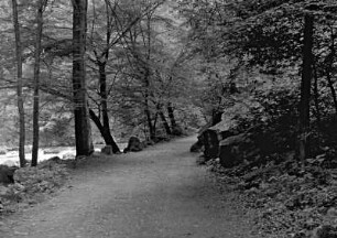 Thale, im Bodetal
