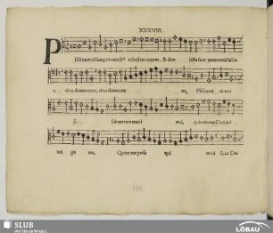 XXXVIII. Anonymus: Pelli meae