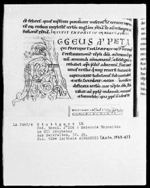 Haimonis enarratio in prophetas minores — Initiale A(ggaeus), Folio 128verso