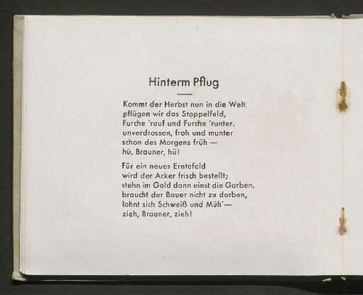 Hinterm Pflug