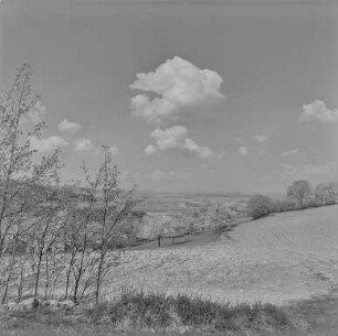 Frühling bei Mehltheuer : Landschaft bei Mehltheuer