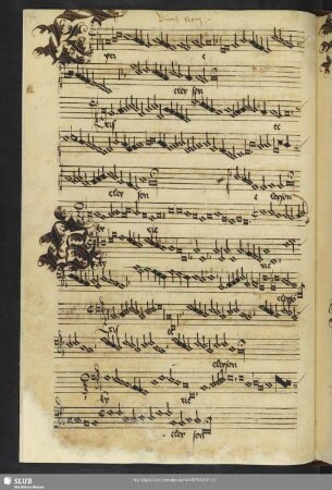 [Rein, Conrad: Missa sine nomine]