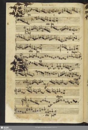 [Rein, Conrad: Missa sine nomine]