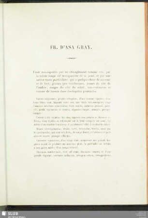 Fr. D'Asa Gray