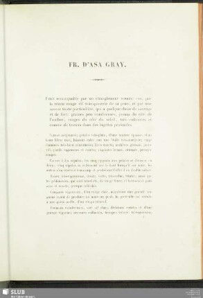 Fr. D'Asa Gray