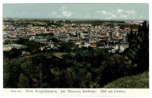 Serie Nr. 48/5: Oestl.Kriegsschauplatz: Zur Räumung Lembergs: Blick auf Lemberg.