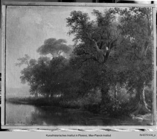 Landschaft
